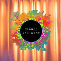 Image 1 of ORANGE YOU NICE
