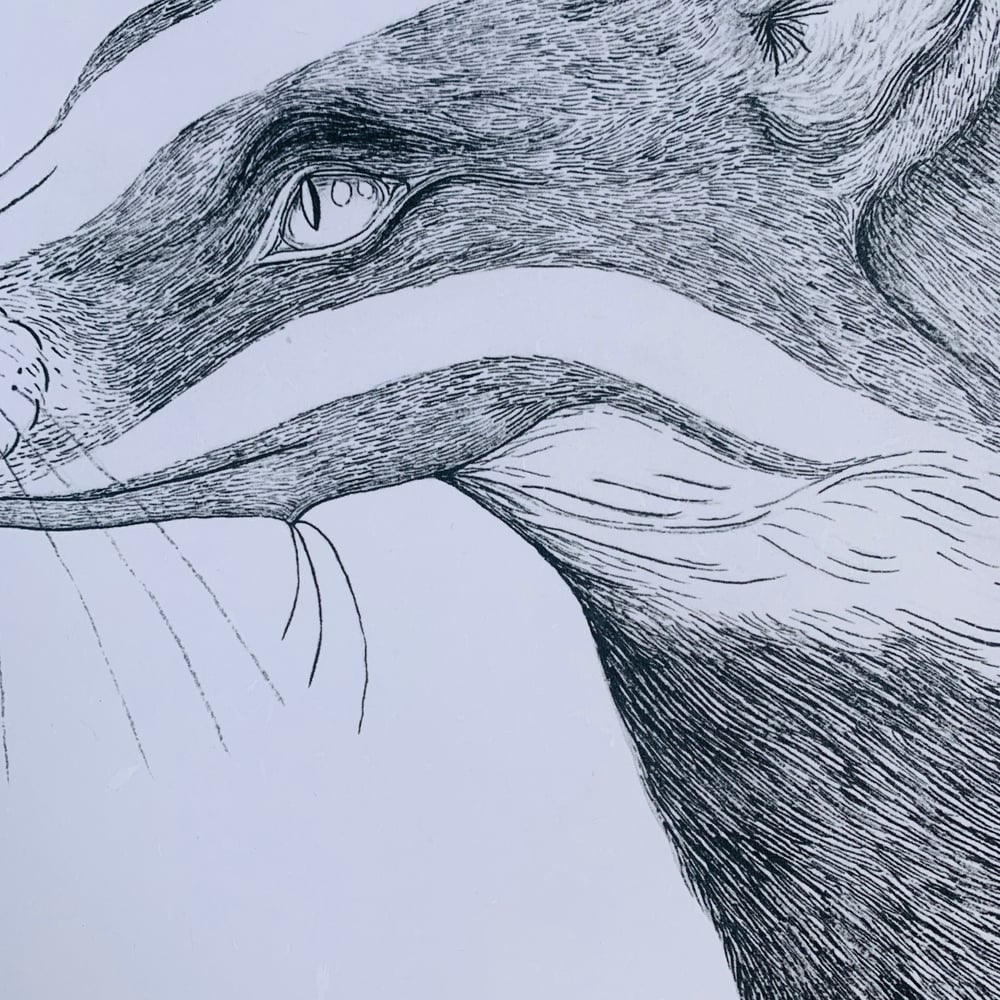 Image of Instinct Badger Print
