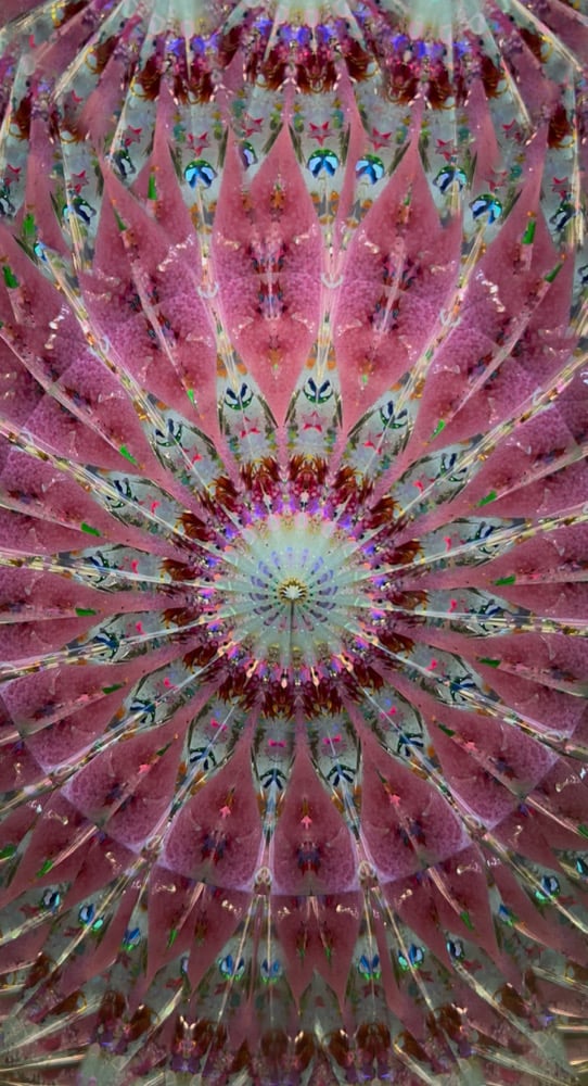 Image of Pastel Swirl Jumbo Wand AuraScope