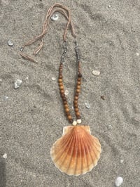 Image 4 of Beachy Sea Shell Neclace 