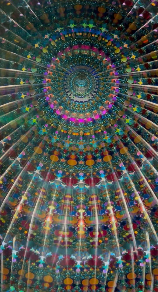 Image of Succulent Garden Mini AuraScope