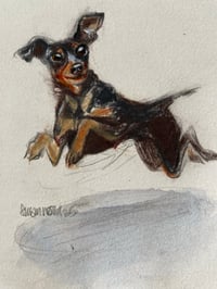 Image 3 of Commission your own Scruffy Woofy Dog Drawing 