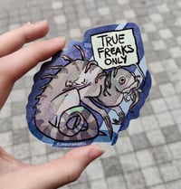 Image 1 of TRUE FREAKS ONLY sticker