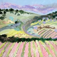 Image 1 of Gingham Vineyards, Barossa 