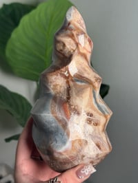 Image 4 of XL PASTEL SEA JASPER FLAME -MADAGASCAR- A
