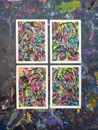 Image 1 of Controlled chaos #2 bundle