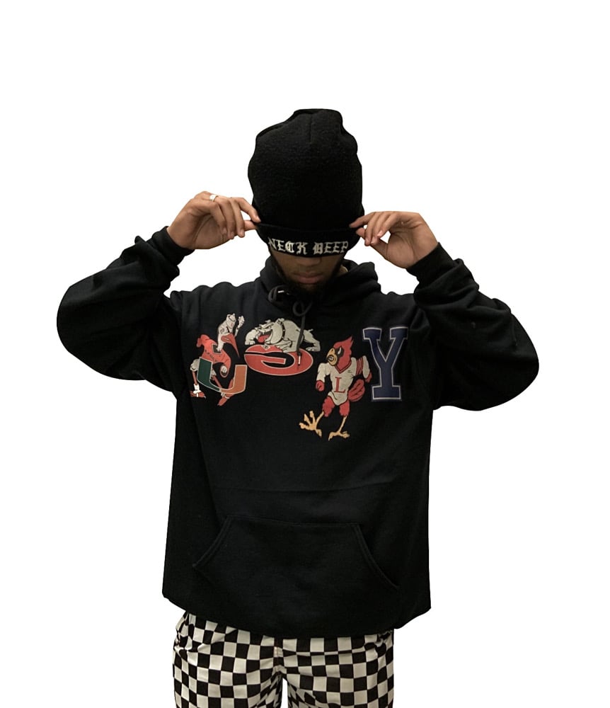 Image of COLLEGE GAMEDAY HOODIE