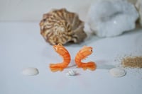 Image 3 of Shrimp Mermaids