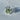 ‎FLOWER ORGANISM RING