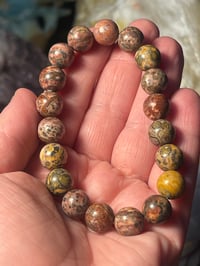 Leopard skin jasper bracelet 