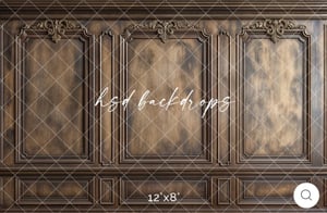 Image of 30-Minute Studio Portrait Session (Elegant Wall)