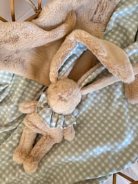 Image 2 of DOUDOU VICHY VERT SAUGE