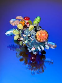 Image 2 of Lapis Vivus