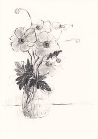 Japanese anemones in a jar