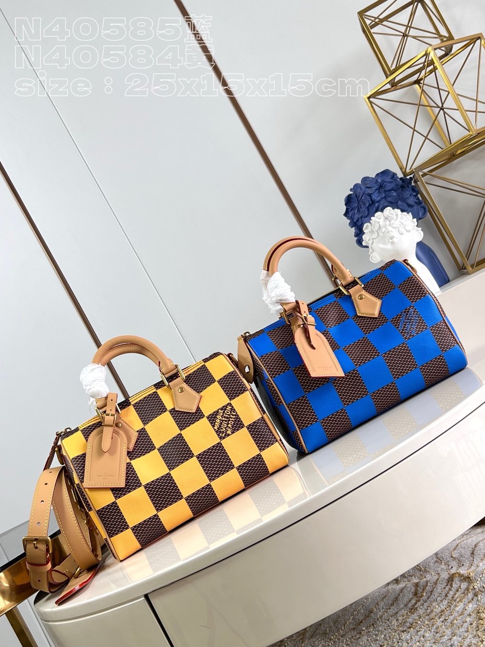 LV Leather Damier Bag