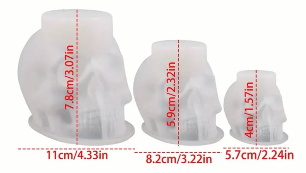 Image of Medium Sized Skulls