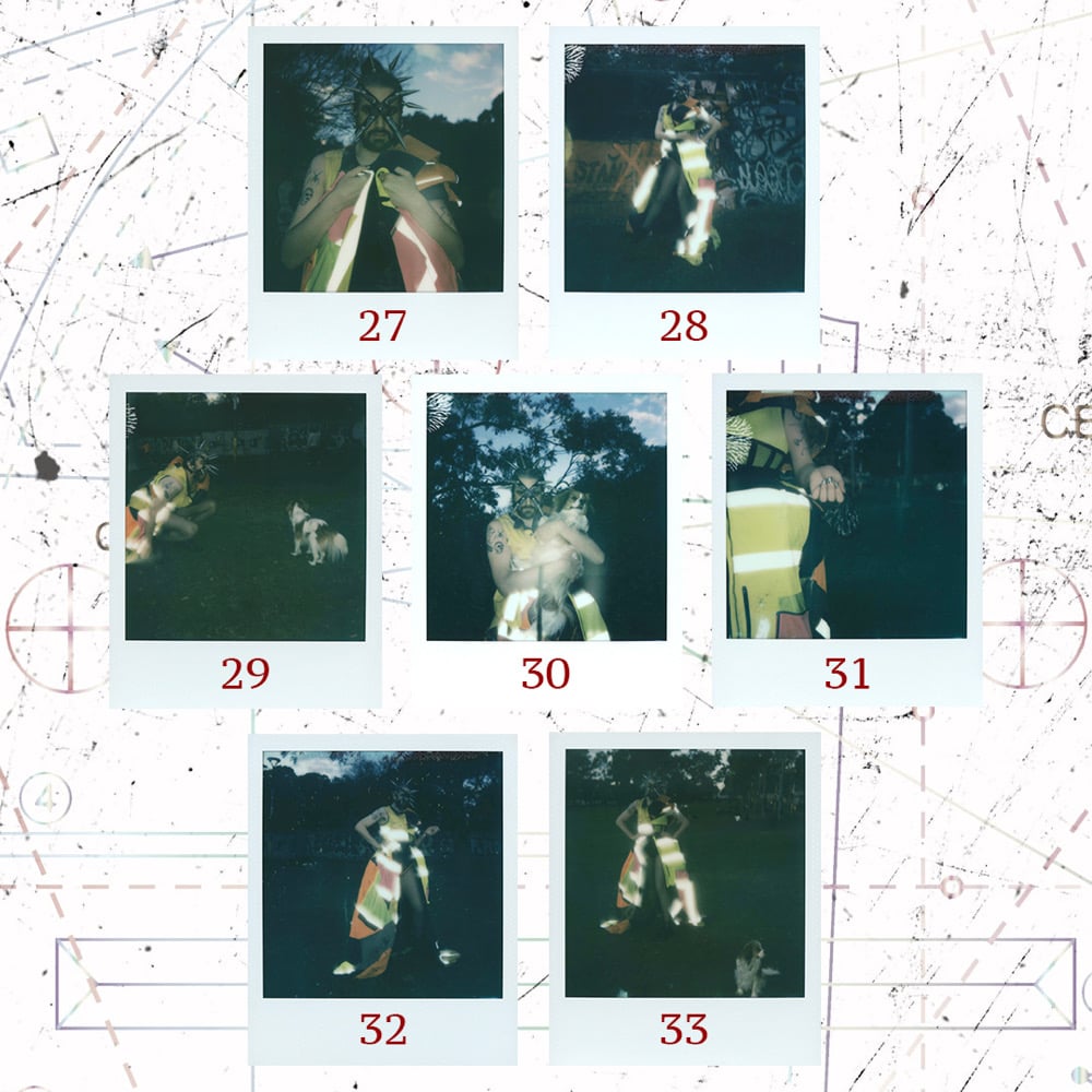 Image of 2025 Halloween Polaroid Series