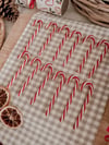 Decorative Candy Canes ( Set of 12 )