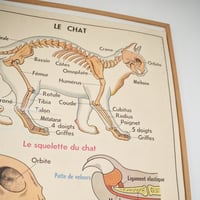 Image 6 of Grandes affiches scolaires anciennes