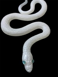 Image 5 of Life Size Snakes
