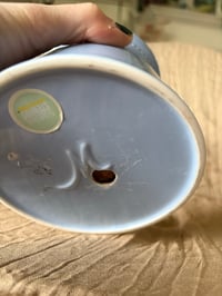 Image 2 of Bunny Ears Cactus in Periwinkle Pot