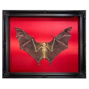 Image of Half Skeleton Bat Red Ornate 