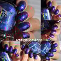 Image 3 of Pawsitively Spooky