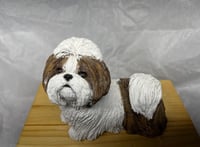 Image 6 of Custom Engraved Shih Tzu Lhasa Apso Urn Pet Portrait Figurine To Your Dog's Photo