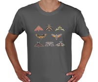 Image 6 of Hawk-moths Collage T-shirt
