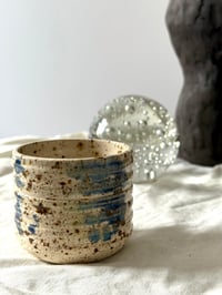 Image 3 of Czarka Przepiórka 