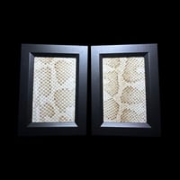Image 1 of python skin frame