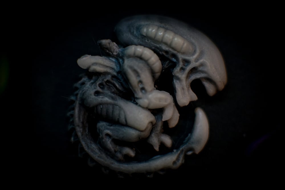 Xeno curl nightvision (GID) Resin velcro patch