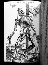 Image 14 of SALE2 - Skin To Skin 