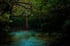 Down River Image 4