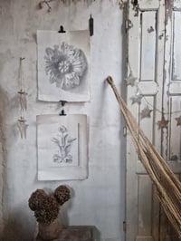 Image 1 of Les dessins de 1916 (2 dispos) 