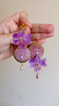 Image 1 of 💜Violet Orchid Shells💜