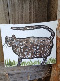 Image 8 of Cat