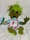 Image of Gurken, Scrappy Green Zombie