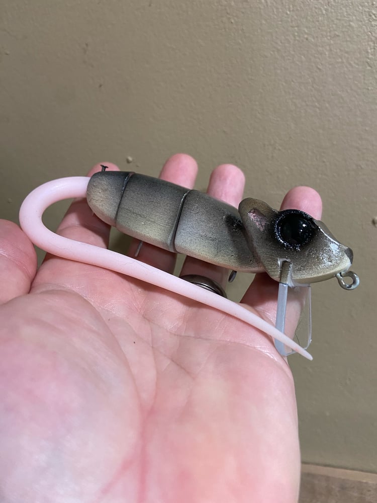 Juvi Rick Rat  - Image 2