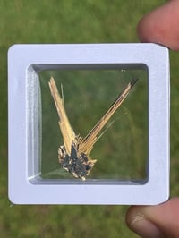 Image 6 of Golden Rutile Star specimen #1853