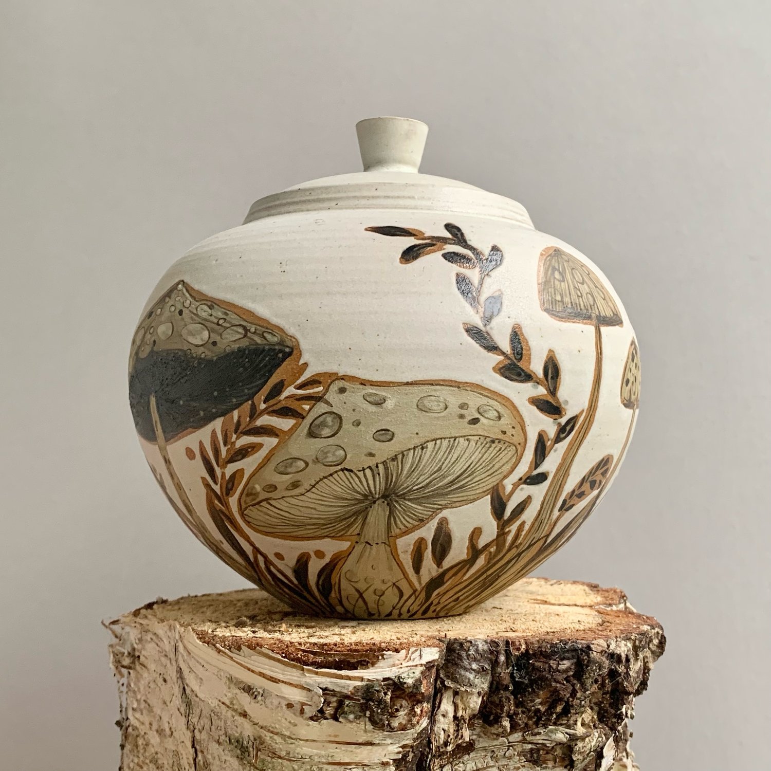 Image of Fungi Jar 