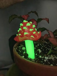 Image 3 of GLOW MUSHROOM PLANT POT FRIENDS