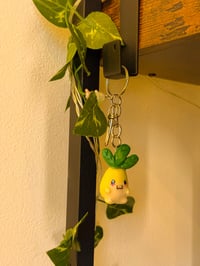 Image 3 of Baby Radish 