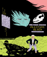 Image 1 of PLEASURE BEACH issue 3