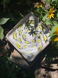 Image 9 of Elevated Dish