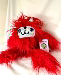 Image 1 of Cat with red wavy fur 