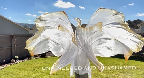 Image of Shekinah- Waves of Glory