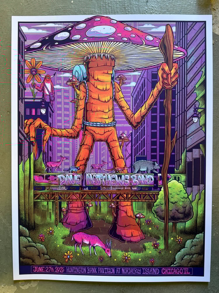 Image of Dave Matthews Band - June 27th, 2025 - Regular and Variants