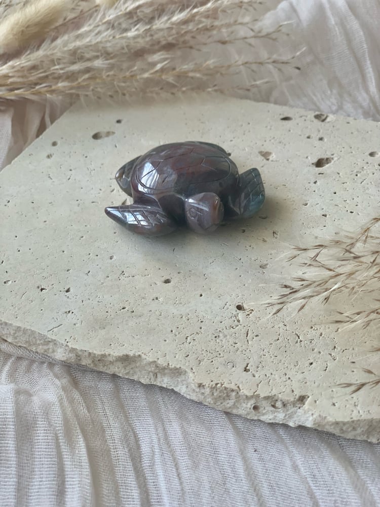 Image of Ocean Jasper Turtles 
