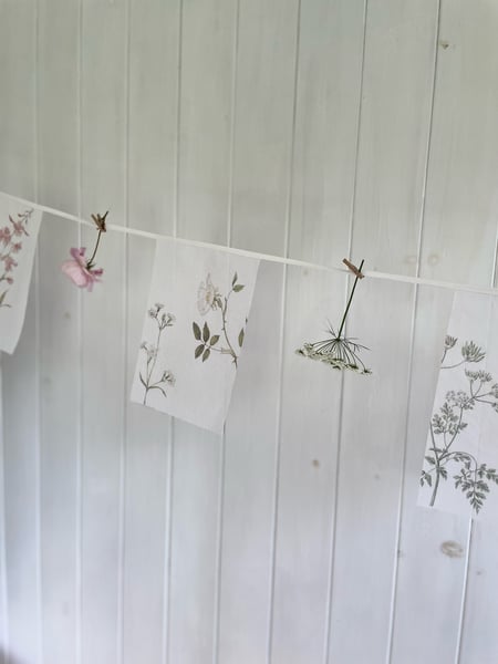 Image of Summer bunting